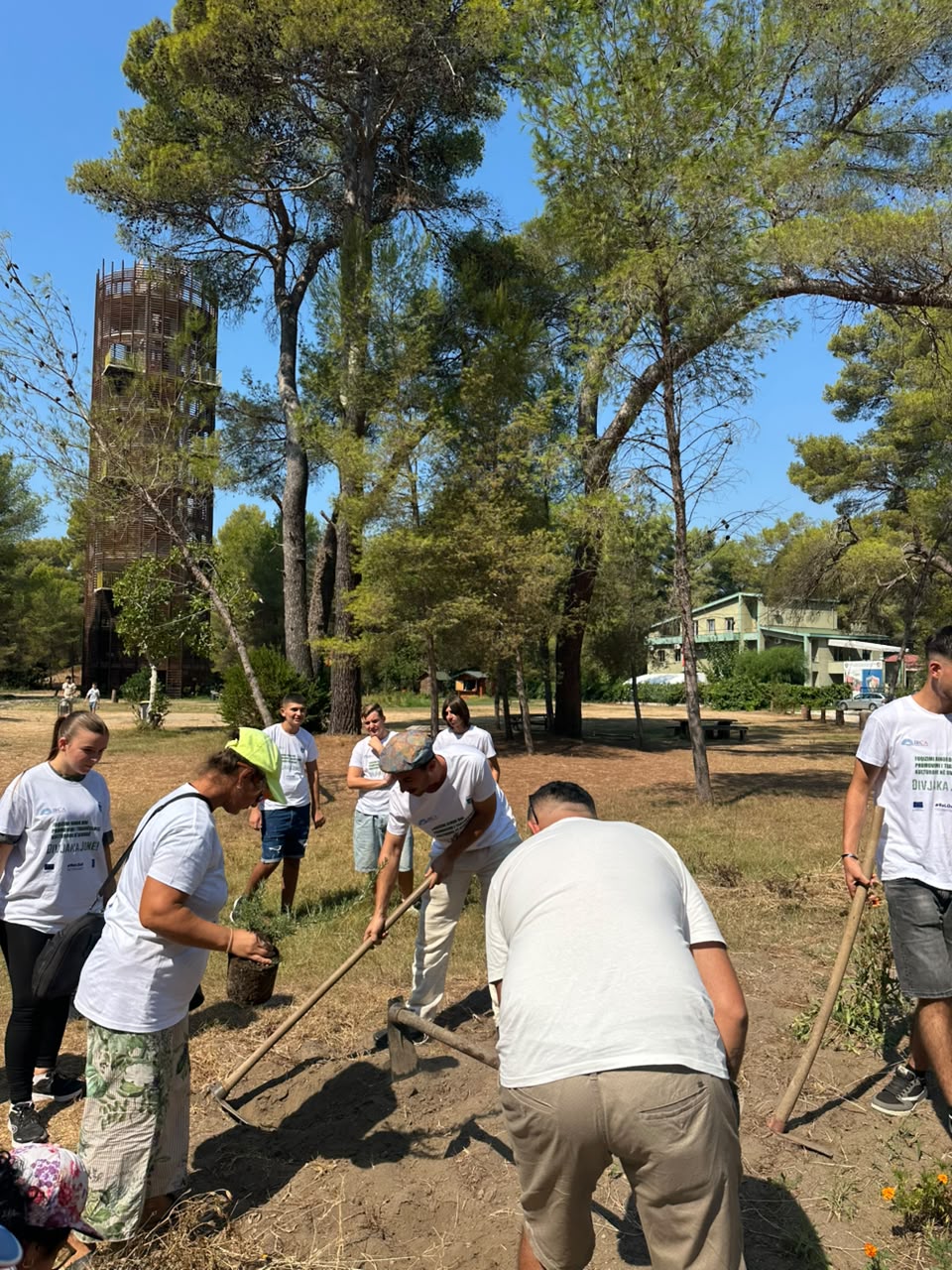 Aksion komunitar për mjedisin në Divjakë, foto 1