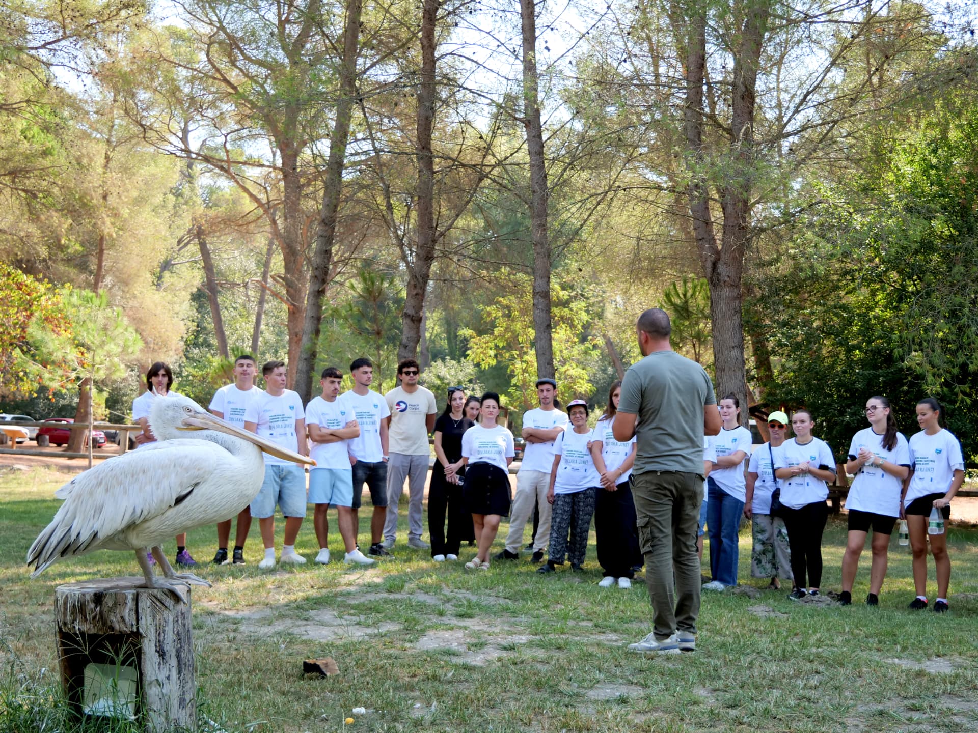 Vizitë në Qendrën e Vizitorëve të Divjakës, foto 4